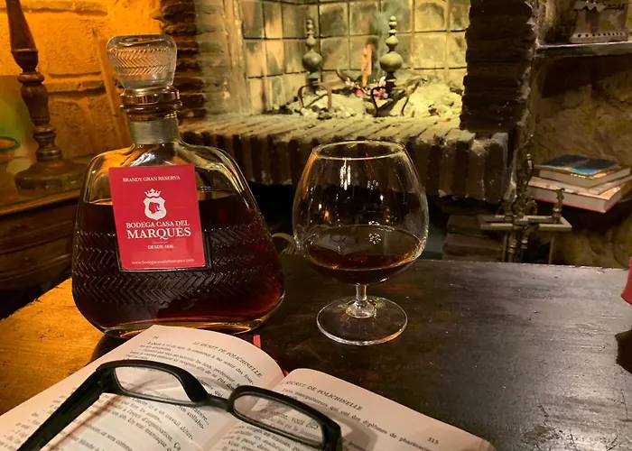 Casa Palacio Jerezana Bed and Breakfast